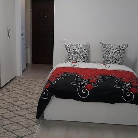 Irvin Apartament Iasi Ngoại thất bức ảnh