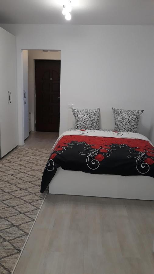 Irvin Apartament Iasi Ngoại thất bức ảnh
